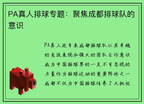 PA真人排球专题：聚焦成都排球队的意识